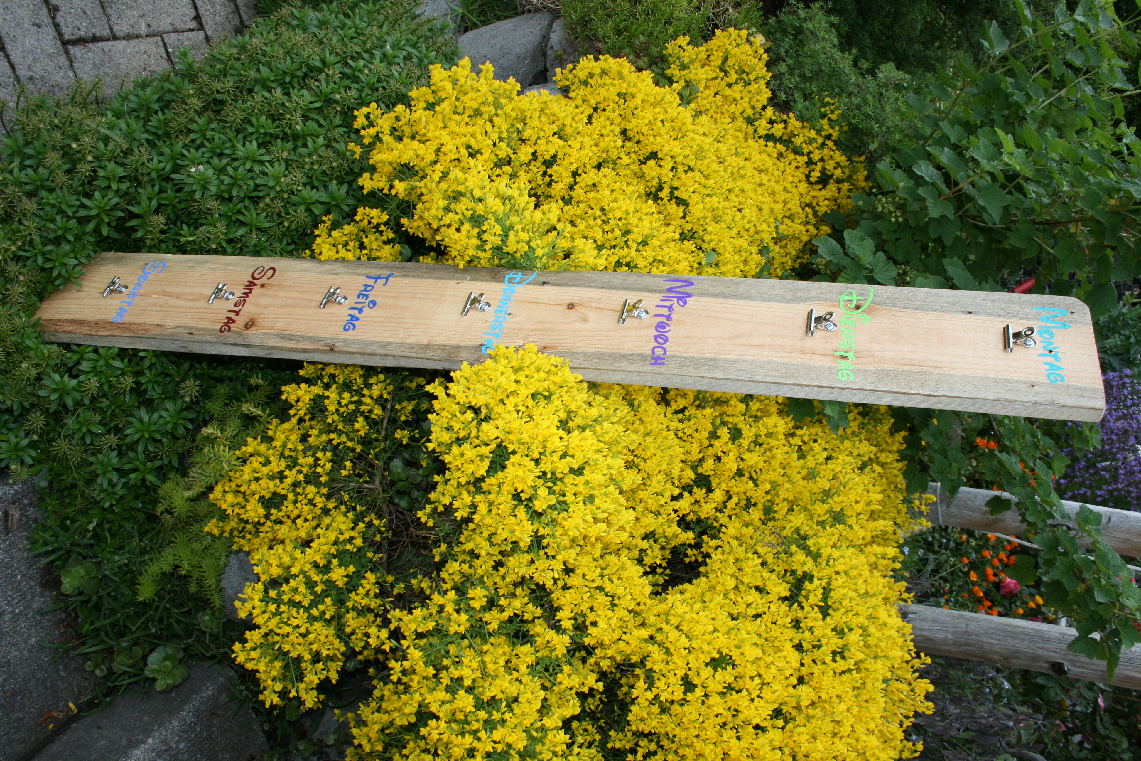 Wochenplaner gross