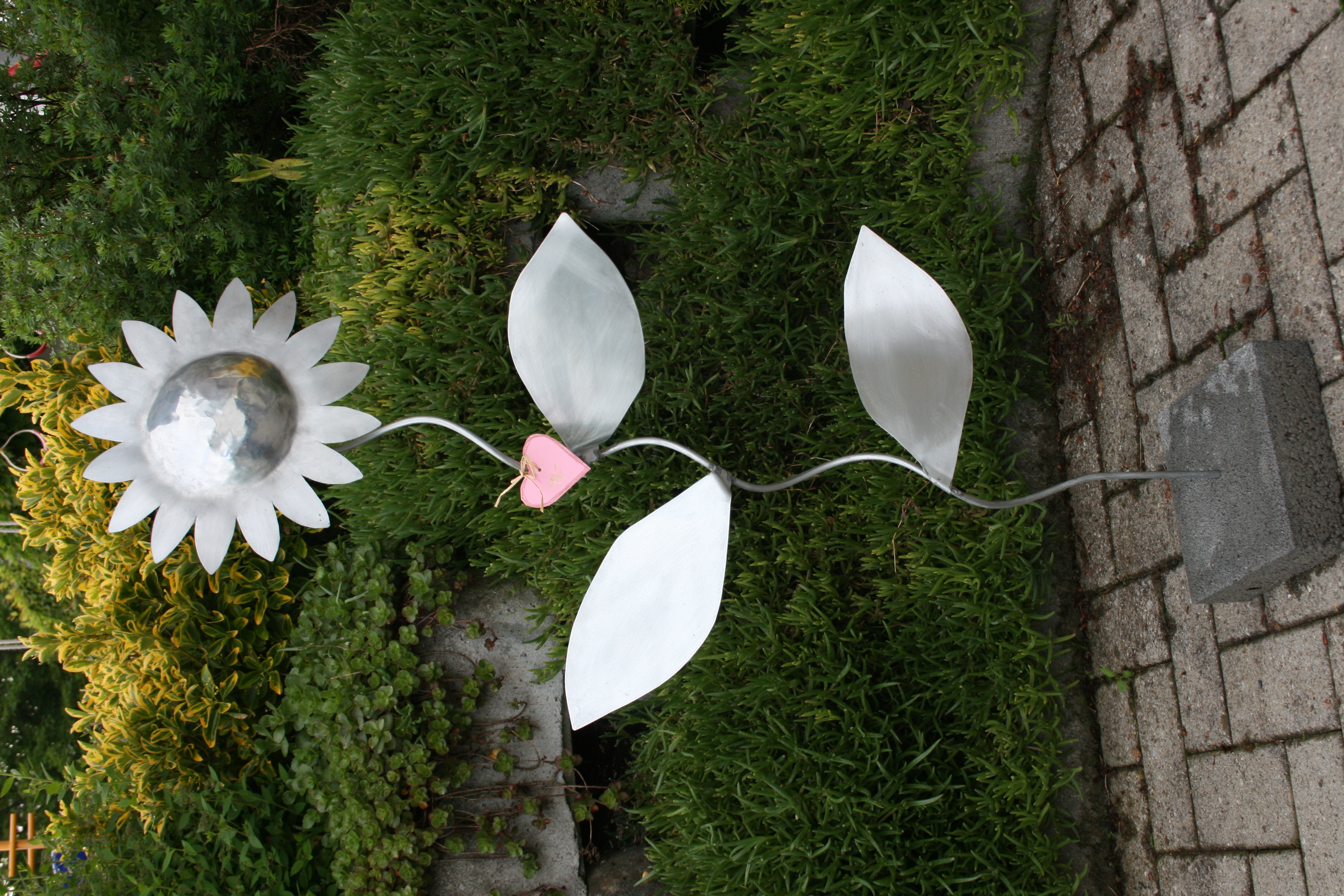 Sonnenblume