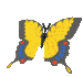 File293.gif