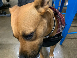 Oregon City - 02/25/26