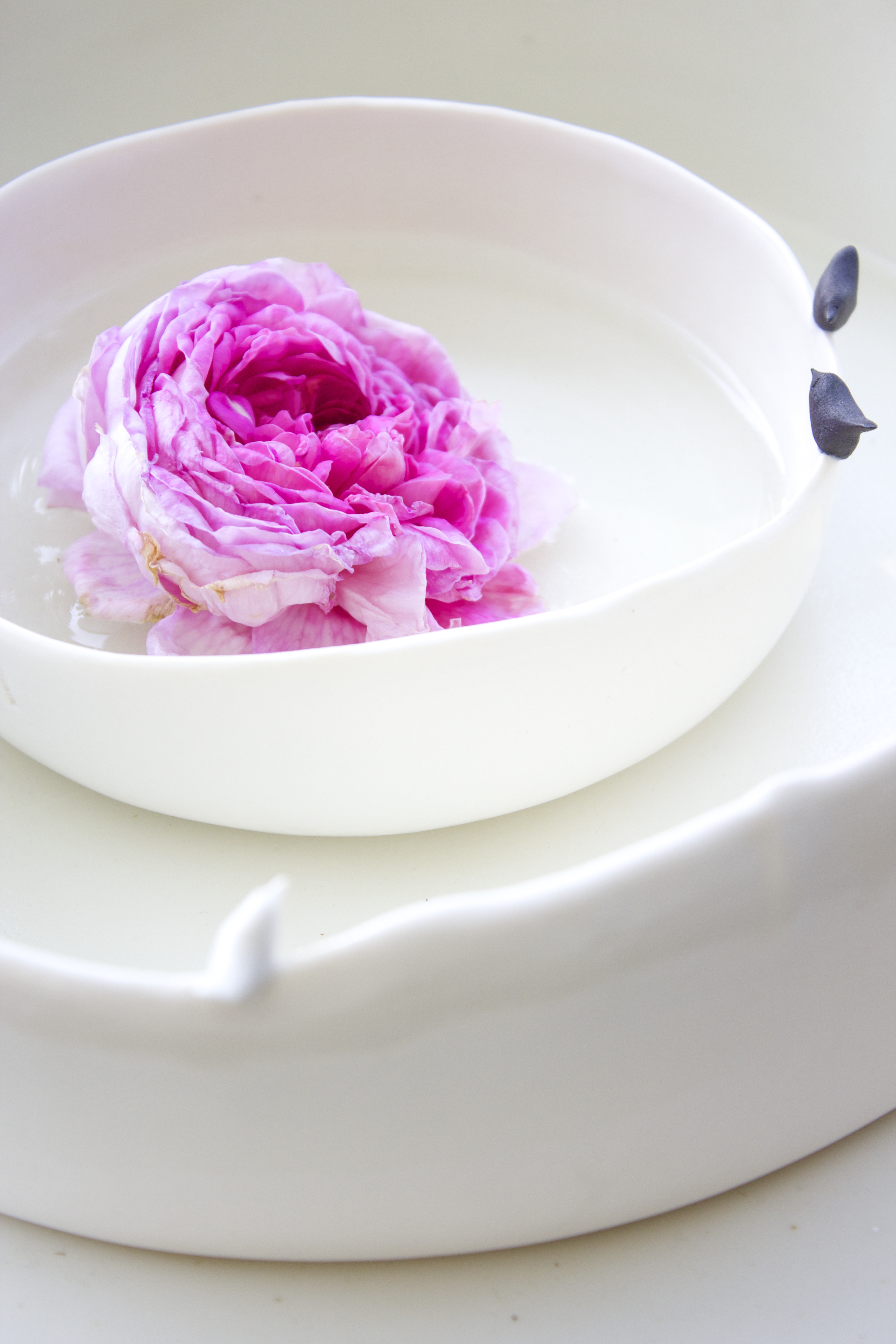 Peony