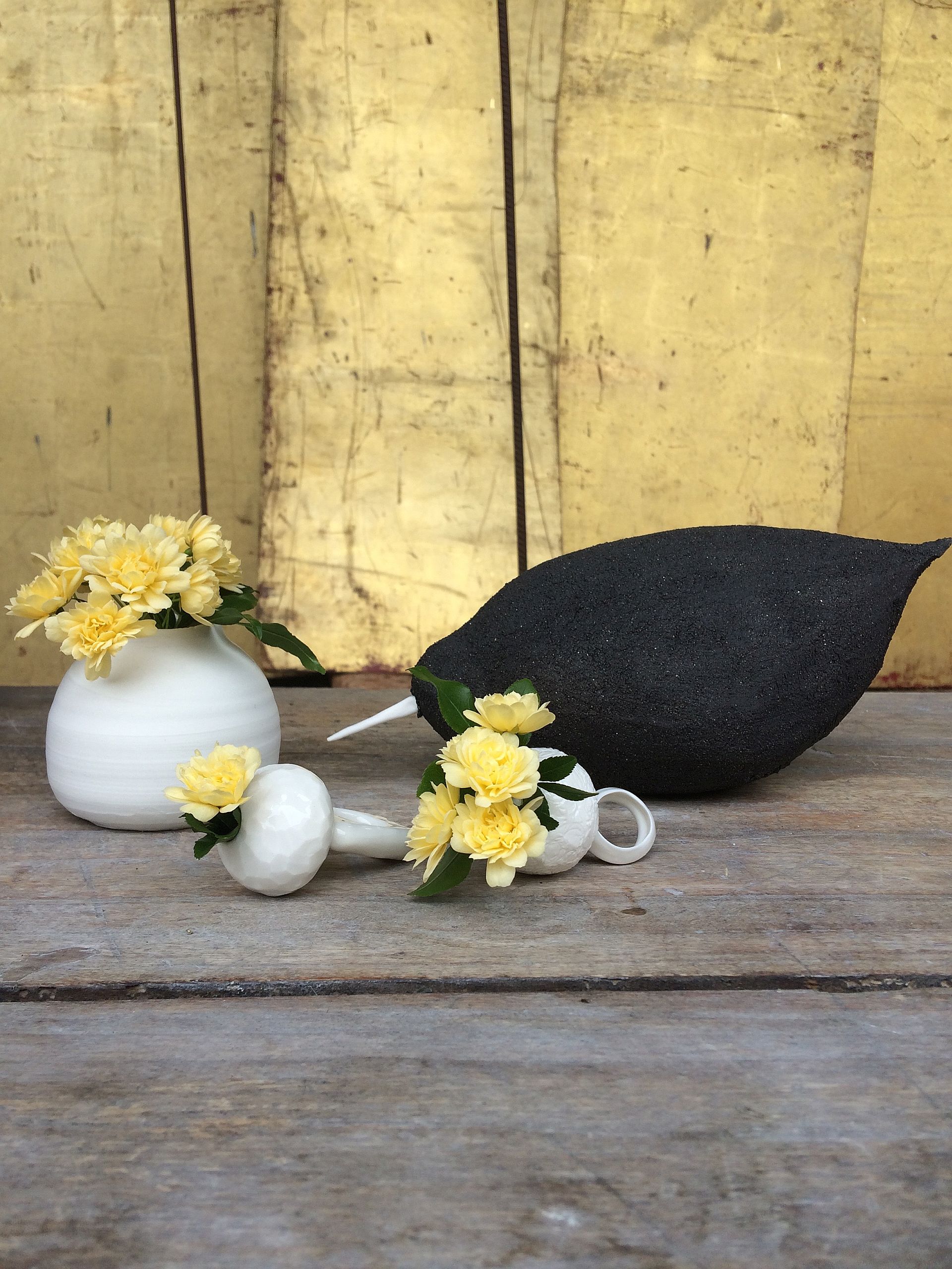 Black bird