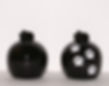 podz1 € 69,50 / podz1w € 71,50