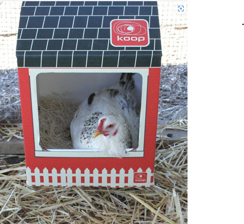 6 Disposable Chicken Nesting Boxes