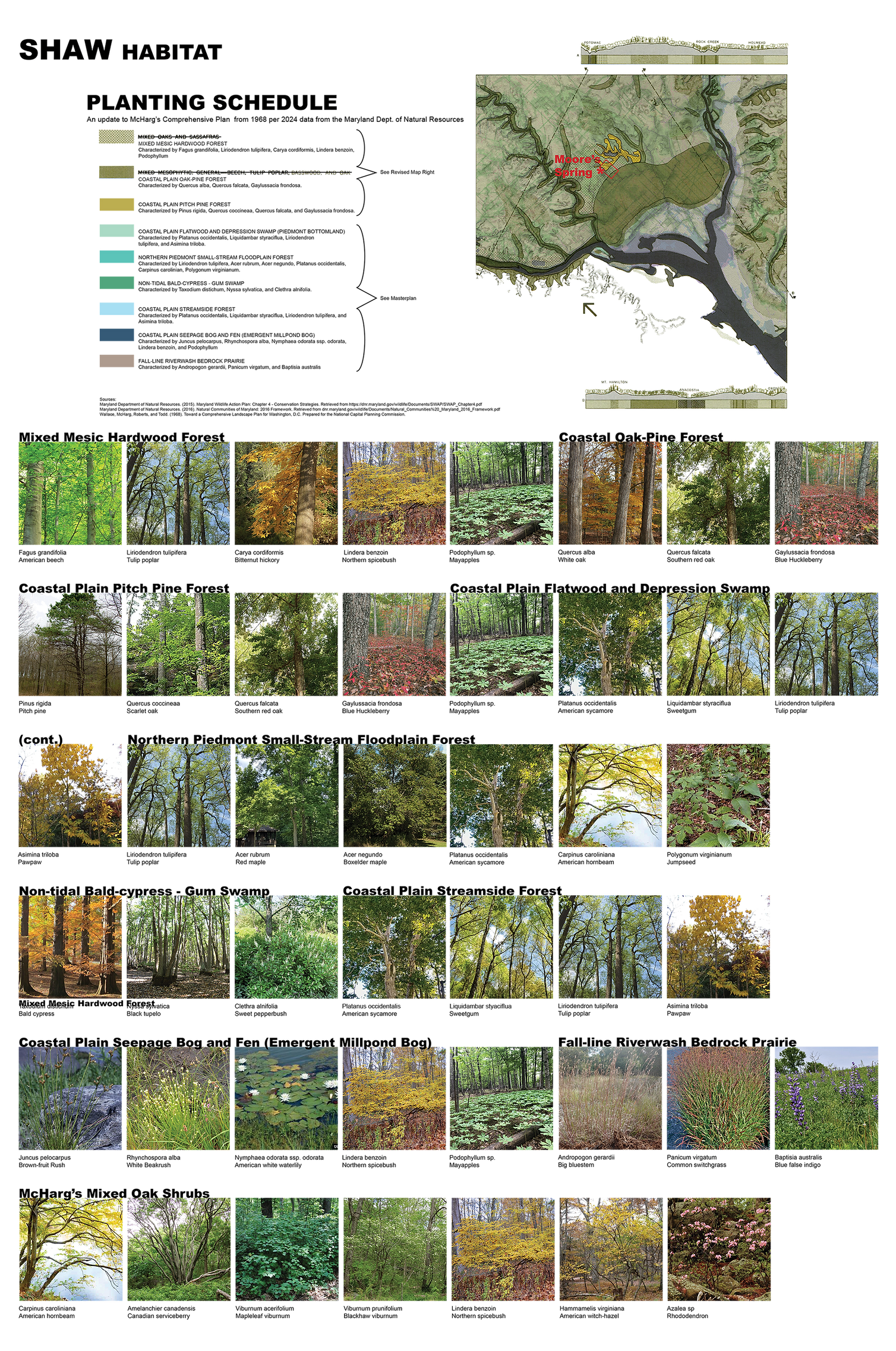 Forest ecology for the Shaw neighborhood