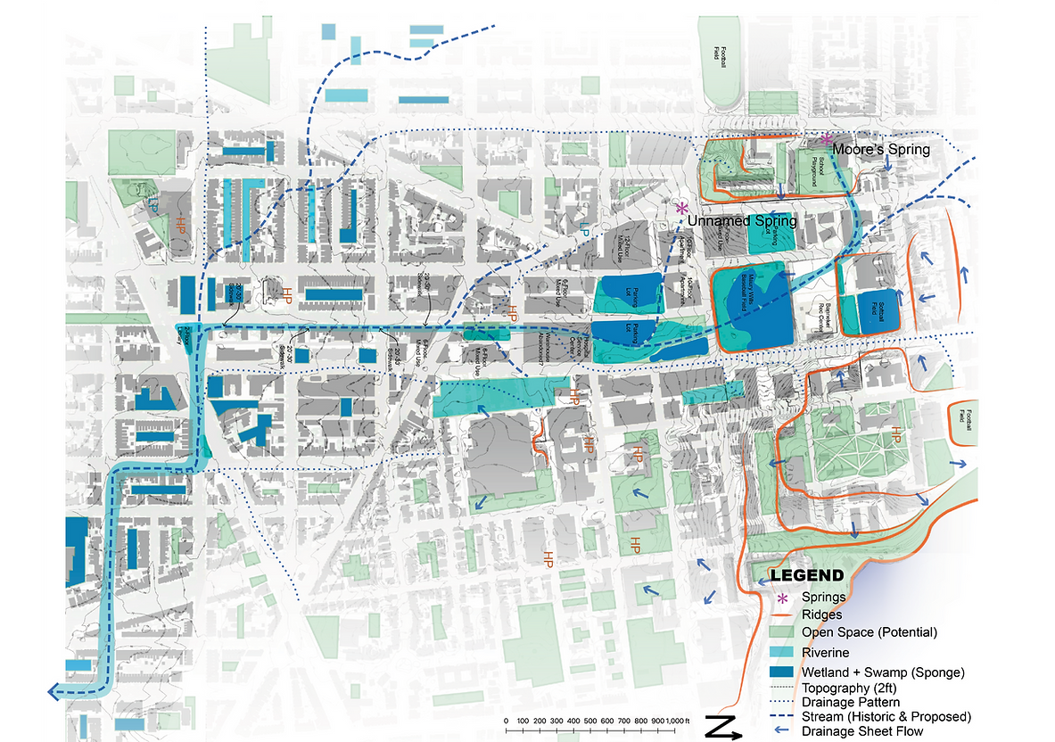 Shaw neighborhood site analysis