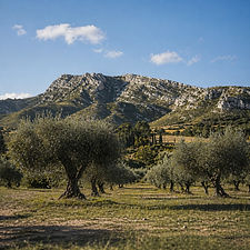 Les alpilles