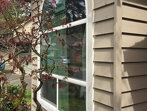 Modern Exterior Solutions Siding Window Installation and Repair Painting Seattle Bellevue Kirkland Issaquah WA