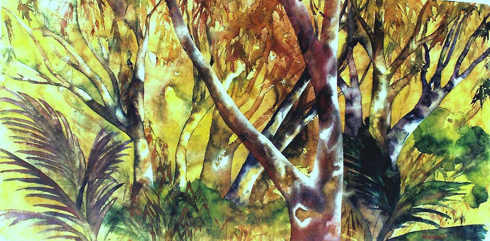 Forest