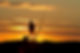 54792E9A-F42C-49E8-A847-C4F760242042.jpeg