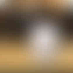 Cell Excellence Night Cream 再青春修護晚霜