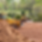 RL Stump Grinding-2.png
