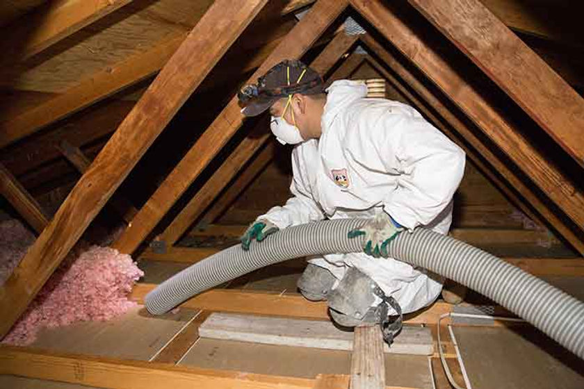 attic-insulation-removal-during.jpg