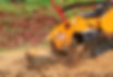 stump grinding.jpg