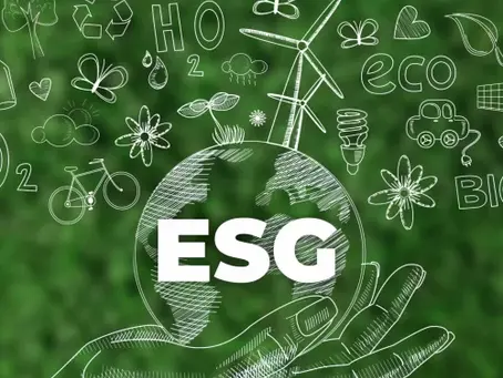 ESG no varejo não é discurso. É decisão. Neste artigo, explico como o ESG deixa de ser pauta institucional e passa a organizar a operação, aumentar eficiência e sustentar o crescimento no varejo real — onde margem, pessoas e decisão convivem sob pressão todos os dias.