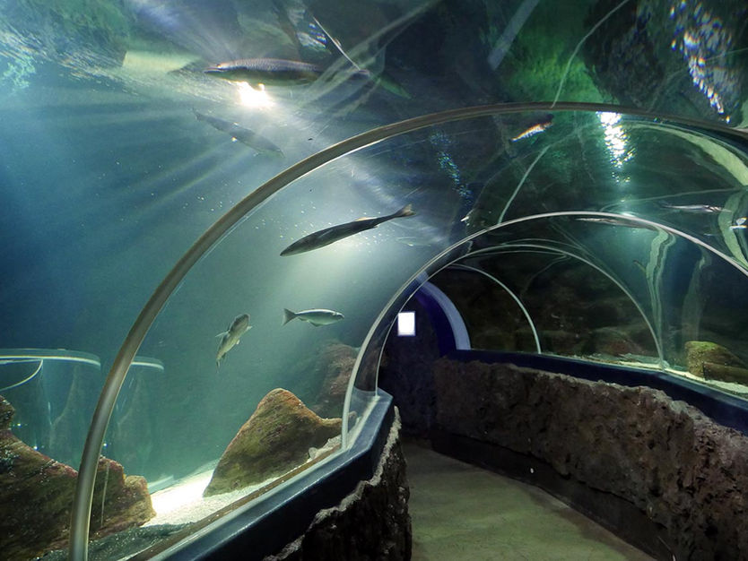 TGA Planungsbüro in Norddeutschland 