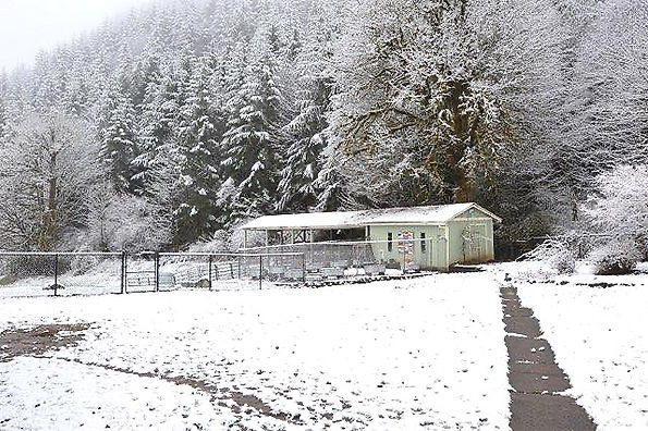 Oregon winter landscape