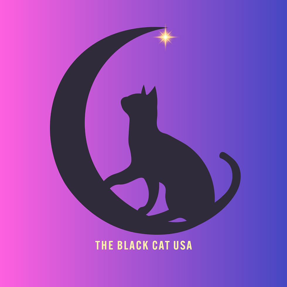 The Black Cat USA Logo with a purple background and a silhouette of a cat