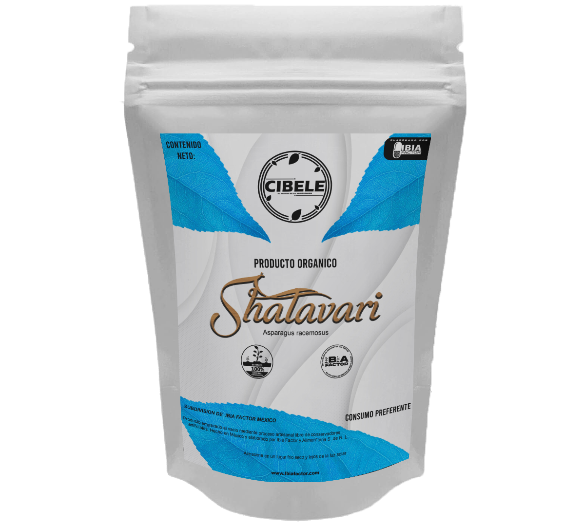 Shatavari organico en polvo