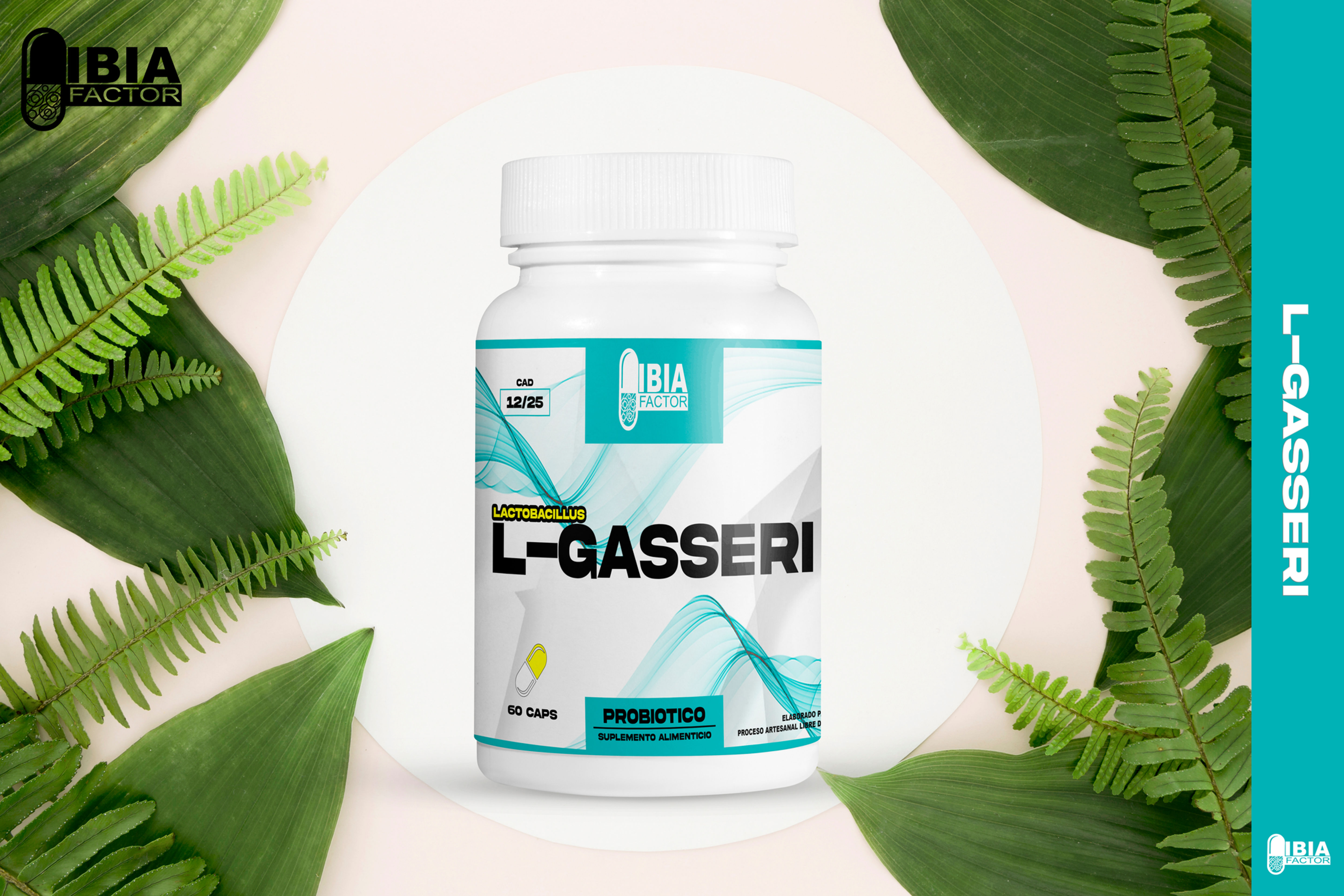 L-Gasseri lactobacillus