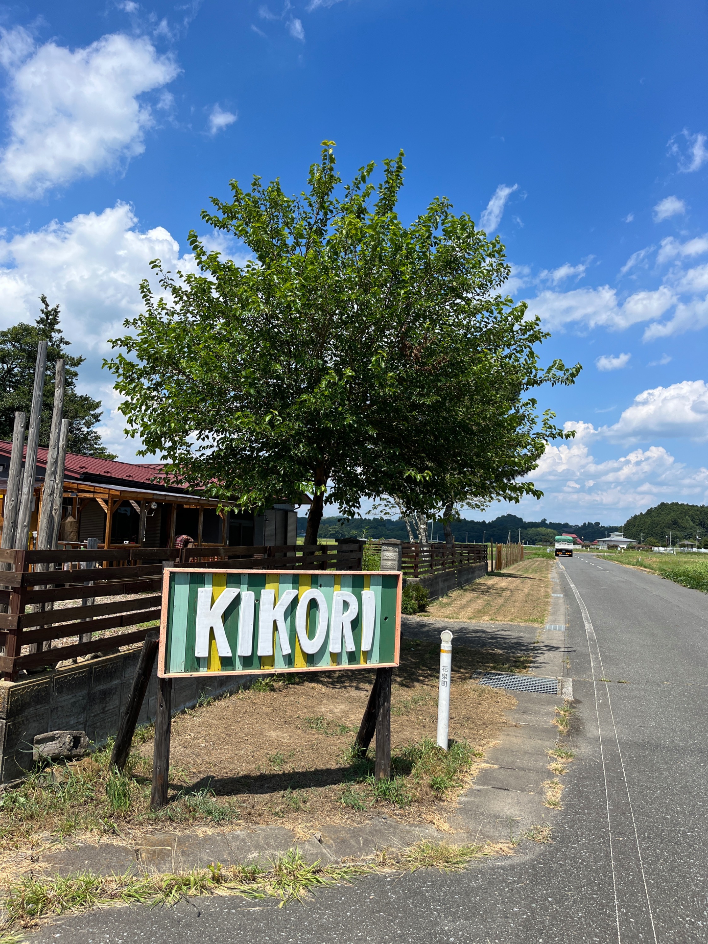 KIKORI campsite photo 2