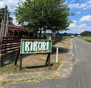 キコリキャンプサイト