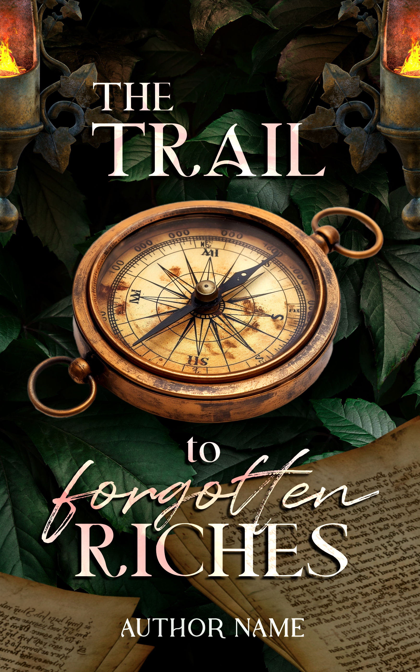 THE TRAIL TO FORGOTTEN RICHES