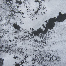Paper cover image LShannon-Little.jpg