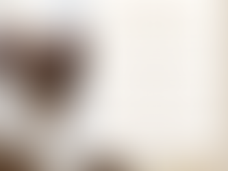 Regime de bens do casamento