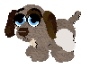 Characters Timmy.png