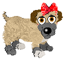 Bred Dogz Noodle.png