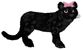 Wildz Midnight Rose.png