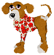 Poppies Sweater.png