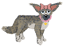 Wildz Anya.png