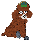 Bred Dogz Group.png