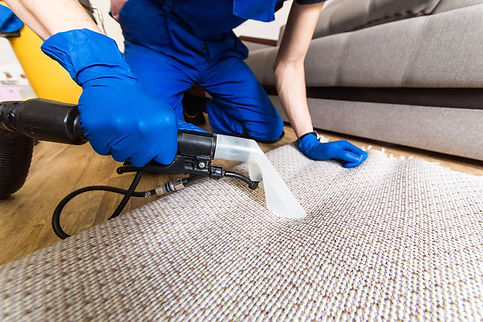 Blue Water Carpet Care