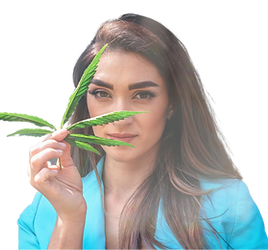 1c2c40_b834c8be8daa41e58708a7193ede72cc_mv2.webp