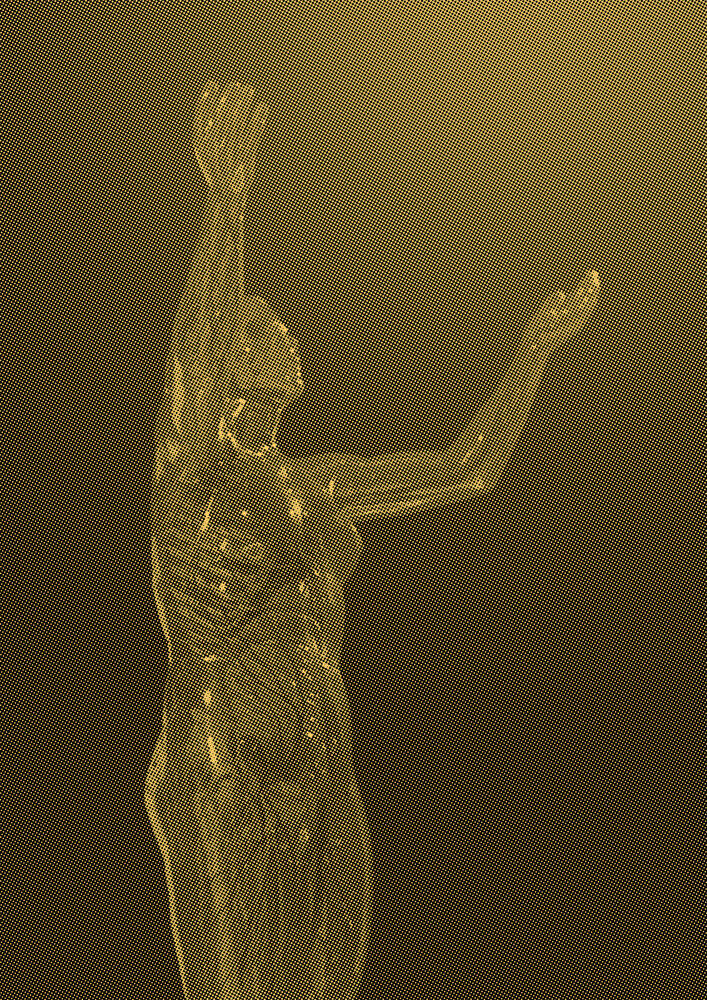 Glaeserne Frau