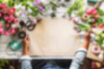 Flower Arrangements
