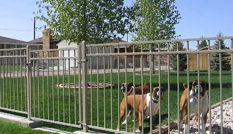 pups2-640x300.jpg