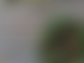 クリスマスリースWS』レッスンレポート。クリスマス音楽と共にお愉しみください♫