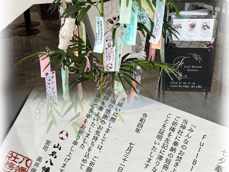 七夕の短冊、その後のご報告