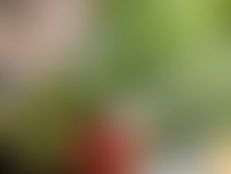 『2023 Full Bloomのクリスマス』始めました♫