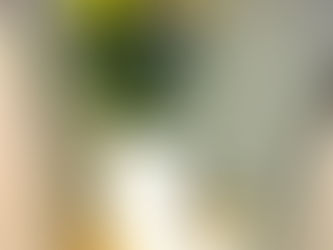 今夜は『中秋の名月』♫お月見花と氷川団子♫