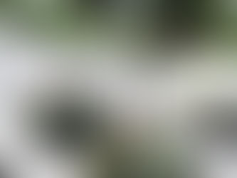 これからの季節にピッタリなオブジェ『ポポラスパンプキン』♫