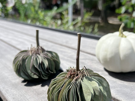 これからの季節にピッタリなオブジェ『ポポラスパンプキン』♫