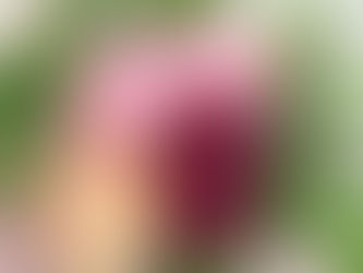 大宮グラス『フレッシュフラワー(生花)ブーケグラス』のレッスン