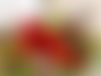 大宮『フレッシュフラワー(生花)アレンジメントレッスン』を行いました♫2023レッスン納めクリスマスアレンジ