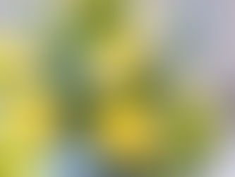 淡い爽やかな色調でオーダーメイドの『開店祝いのアレンジメント』