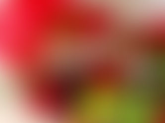 大宮『フレッシュフラワー(生花)ブーケクラス』レッスンを行いました♫レッスン納めのクリスマスブーケ